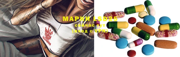 spice Горнозаводск