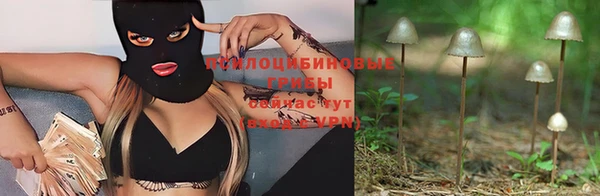 spice Горнозаводск