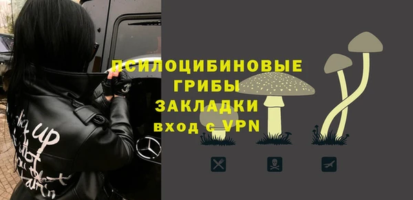 дмт Горняк