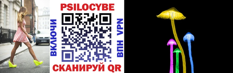 Галлюциногенные грибы Psilocybine cubensis  Сургут 
